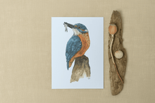 Afbeelding in Gallery-weergave laden, IJsvogel (Print) (a5)
