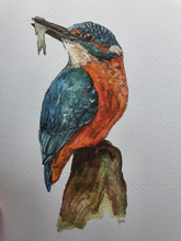 Afbeelding in Gallery-weergave laden, IJsvogel (Print) (a5)
