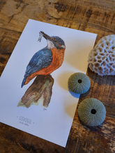 Afbeelding in Gallery-weergave laden, IJsvogel (Print) (a5)
