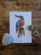 Afbeelding in Gallery-weergave laden, IJsvogel (Print) (a5)
